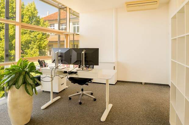 Gewerbeobjekt kaufen in 6890 Lustenau (Bild 3)
