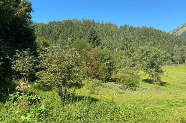 Grundstück kaufen in 8953 Donnersbachwald (Bild 4)