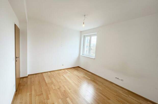 Terrassenwohnung mieten in 3140 Pottenbrunn (Bild 5)