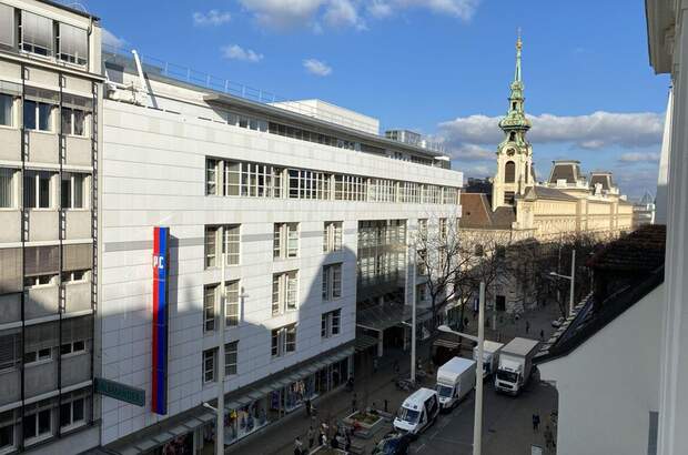 Gewerbeobjekt mieten in 1060 Wien (Bild 3)