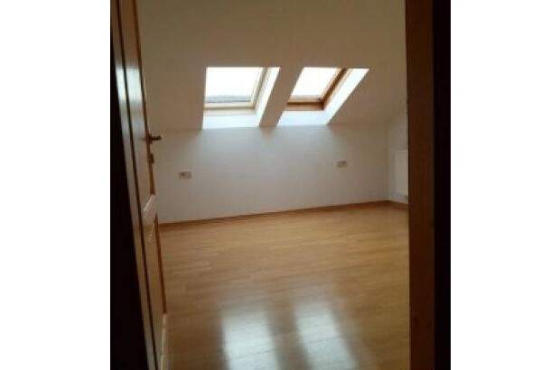 Mehrfamilienhaus kaufen in 2130 Mistelbach (Bild 5)