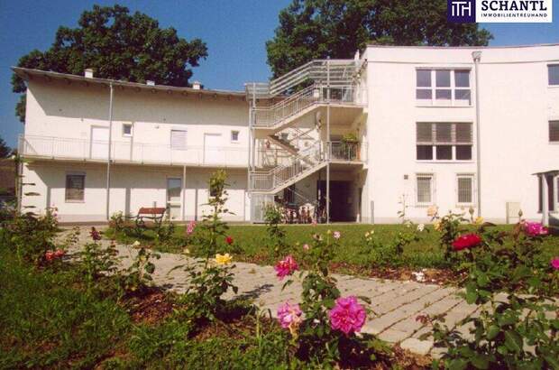 Eigentumswohnung in 8435 Wagna (Bild 1)