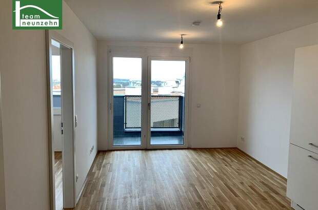 Terrassenwohnung mieten in 1220 Wien (Bild 2)