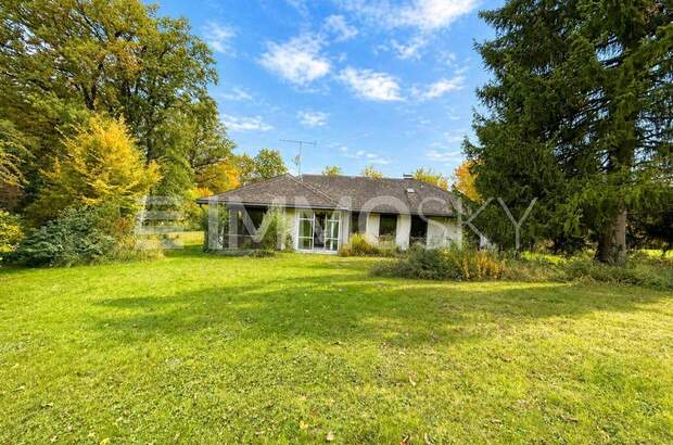 Grundstück kaufen in 4910 Ried (Bild 2)