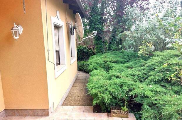 Haus mit Garten kaufen in 2291 Lassee (Bild 5)