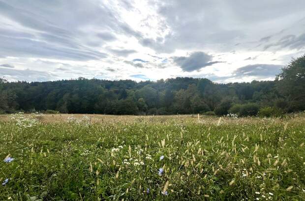 Grundstück kaufen in 8430 Leibnitz (Bild 4)