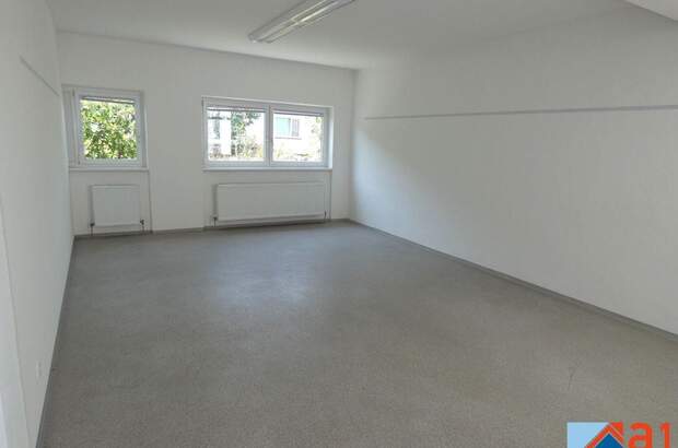 Gewerbeobjekt mieten in 4050 Traun (Bild 4)