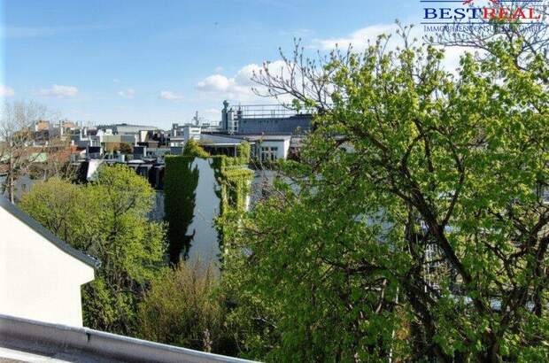 Terrassenwohnung kaufen in 1080 Wien (Bild 1)