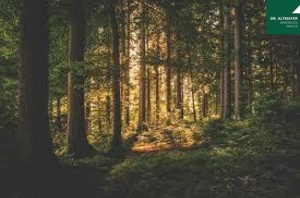 Immobilie kaufen in 9183 Rosenbach (Bild 2)