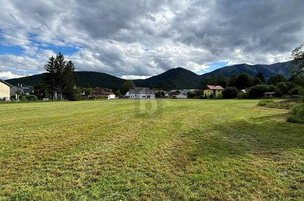 Grundstück kaufen in 2734 Puchberg (Bild 3)