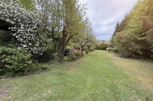 Haus mit Garten kaufen in 8295 Sankt Johann (Bild 3)
