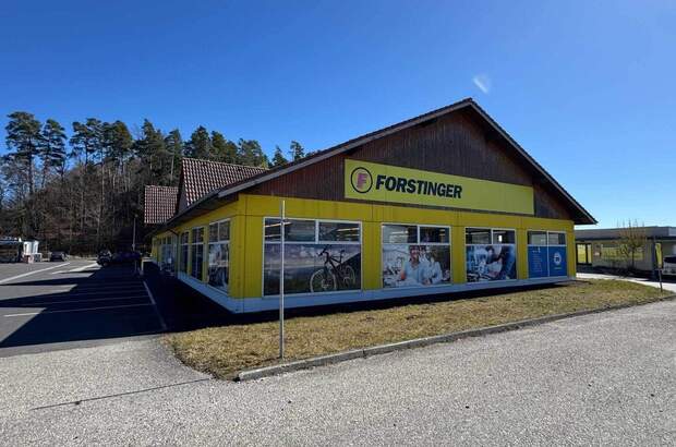 Anlageobjekt kaufen in 4150 Rohrbach (Bild 1)