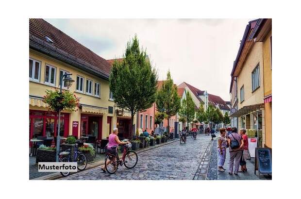 Mehrfamilienhaus kaufen in 3500 Krems (Bild 1)