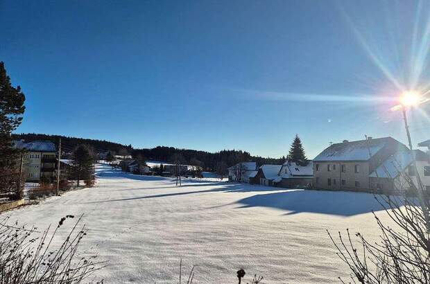 Grundstück kaufen in 4251 Sandl (Bild 1)