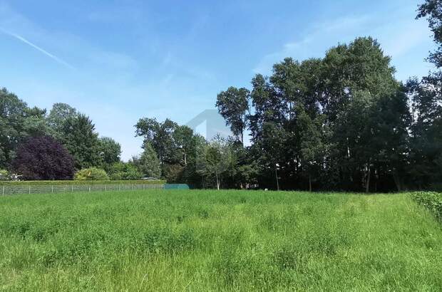 Grundstück kaufen in 2490 Ebenfurth (Bild 2)