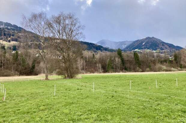 Grundstück kaufen in 6820 Nenzing (Bild 1)