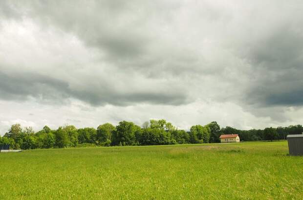 Haus mit Garten kaufen in 4922 Geiersberg (Bild 2)