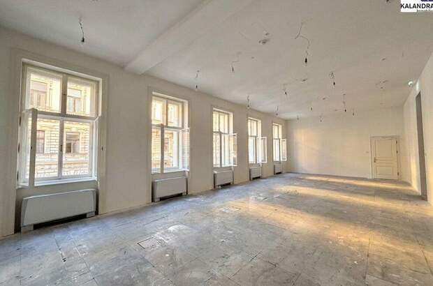 Gewerbeobjekt mieten in 1010 Wien (Bild 1)