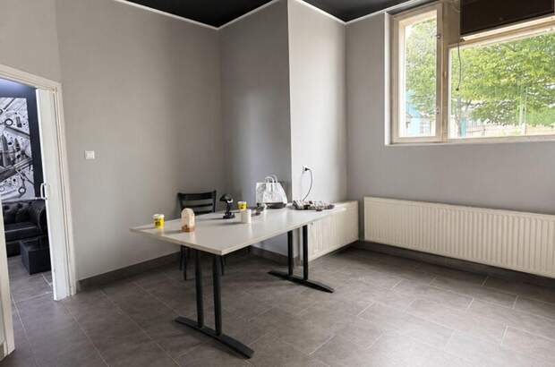 Gewerbeobjekt kaufen in 1130 Wien (Bild 3)