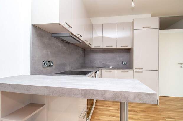 Wohnung mieten in 4641 Steinhaus (Bild 3)