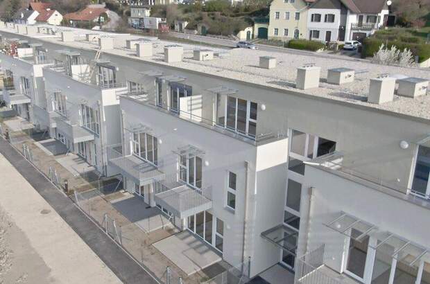 Terrassenwohnung mieten in 2123 Unterolberndorf (Bild 1)