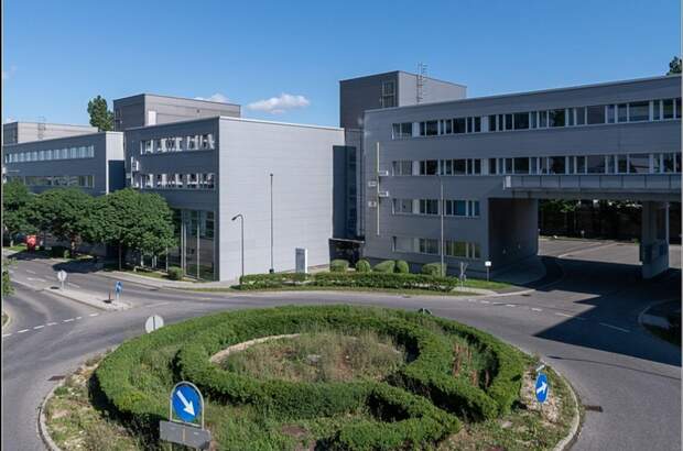 Gewerbeobjekt mieten in 2345 Brunn (Bild 2)