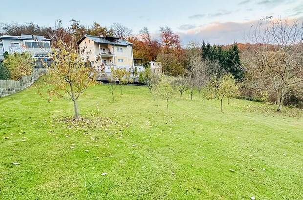 Grundstück kaufen in 4221 Steyregg (Bild 5)