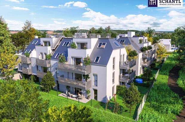 Terrassenwohnung kaufen in 1210 Wien (Bild 1)