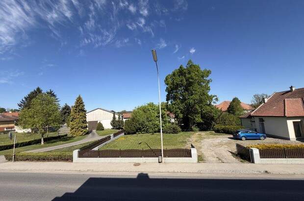 Terrassenwohnung mieten in 3140 Pottenbrunn (Bild 1)
