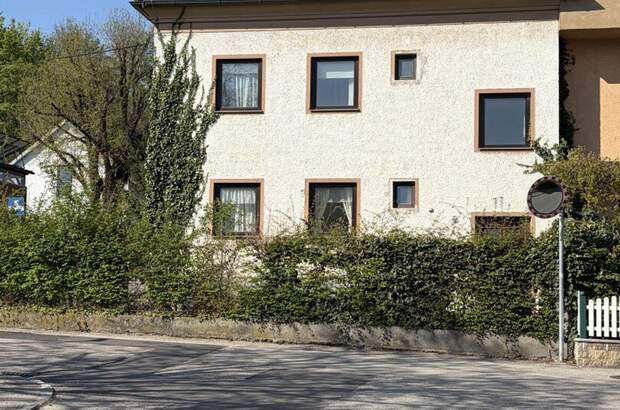 Haus kaufen in 4470 Enns (Bild 1)