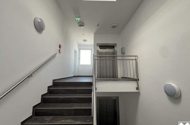 Gewerbeobjekt mieten in 3300 Amstetten (Bild 5)