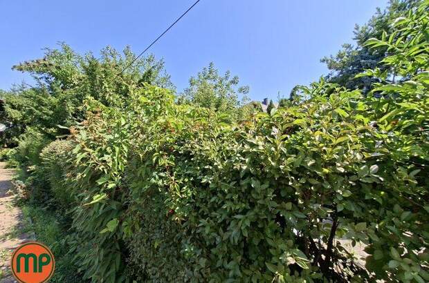 Haus kaufen in 1220 Wien (Bild 4)