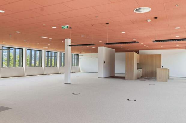 Gewerbeobjekt mieten in 6922 Wolfurt (Bild 5)