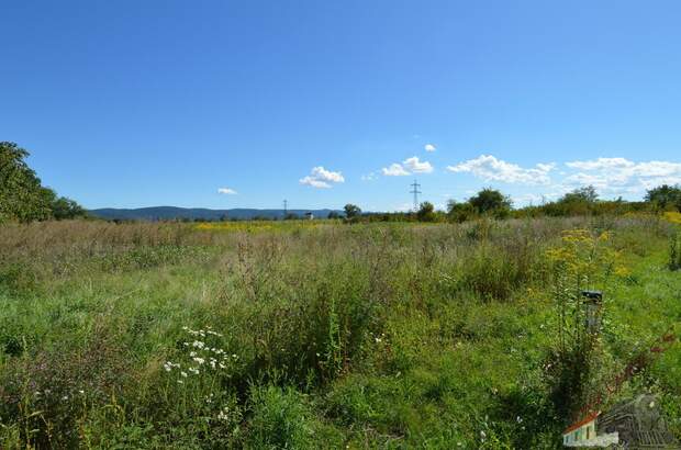 Grundstück kaufen in 2700 Wr. Neustadt (Bild 4)