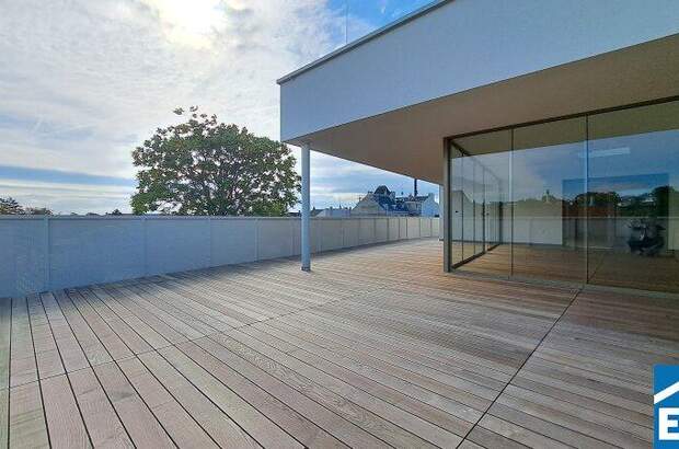 Terrassenwohnung kaufen in 7100 Neusiedl (Bild 4)