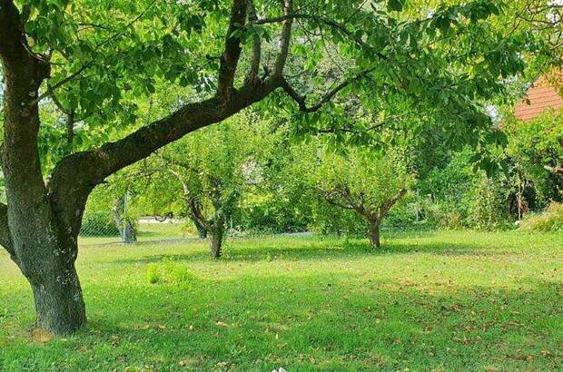 Haus kaufen in 7444 Unterloisdorf (Bild 3)