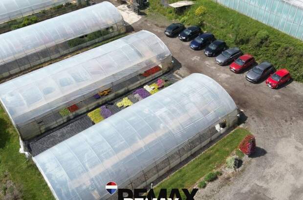 Gewerbeobjekt kaufen in 4890 Frankenmarkt (Bild 3)