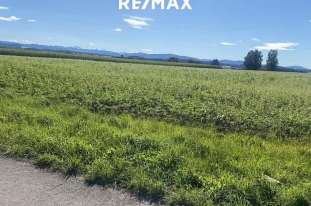 Haus kaufen in 4851 Gampern (Bild 2)