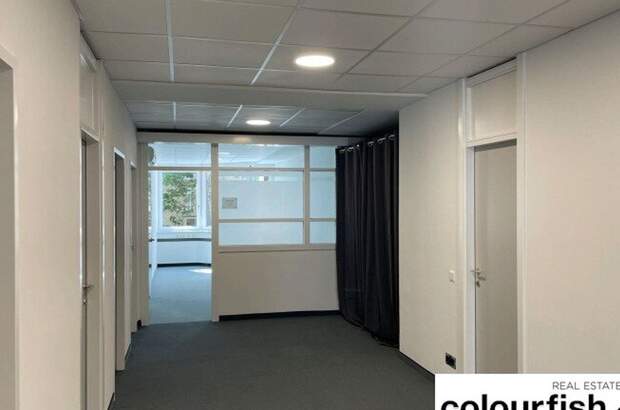 Gewerbeobjekt mieten in 1050 Wien (Bild 3)