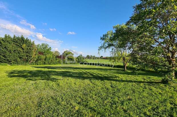 Grundstück kaufen in 7091 Breitenbrunn (Bild 1)