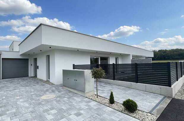 Haus mit Garten kaufen in 4470 Enns (Bild 1)