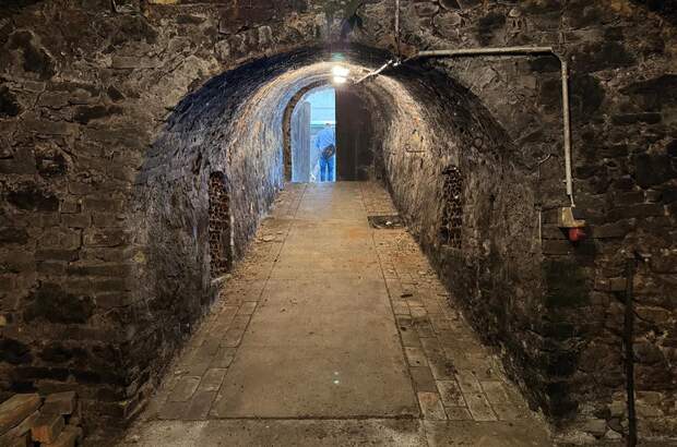 Grundstück kaufen in 3433 Königstetten (Bild 3)