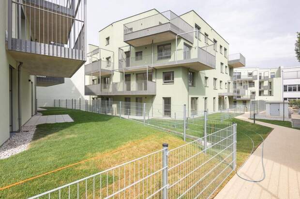 Wohnung mit Balkon mieten in 2700 Wiener Neustadt