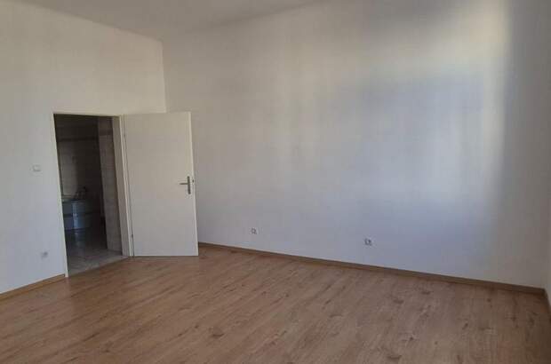 Altbauwohnung mieten in 1190 Wien (Bild 2)