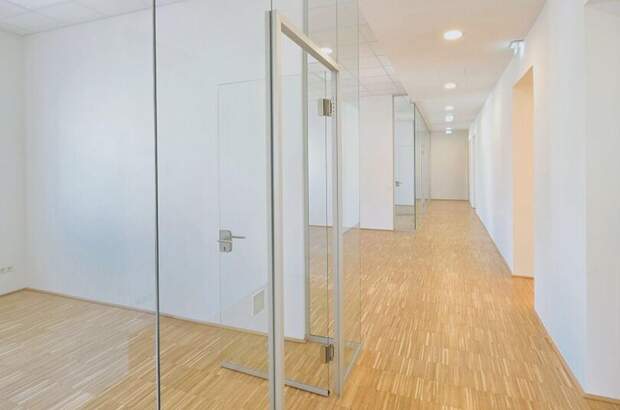 Gewerbeobjekt mieten in 1010 Wien (Bild 4)