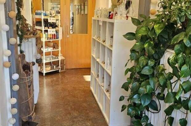 Gewerbeobjekt mieten in 5082 Grödig (Bild 4)