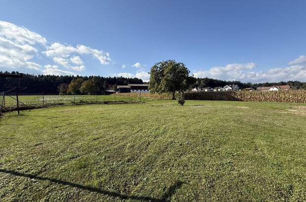 Haus kaufen in 7410 Loipersdorf (Bild 5)