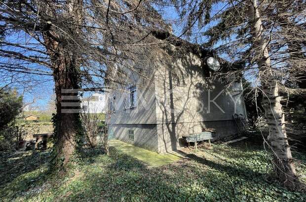 Einfamilienhaus kaufen in 1220 Wien (Bild 3)