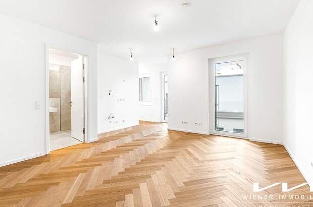 Altbauwohnung mit Balkon kaufen in 1040 Wien (Bild 1)