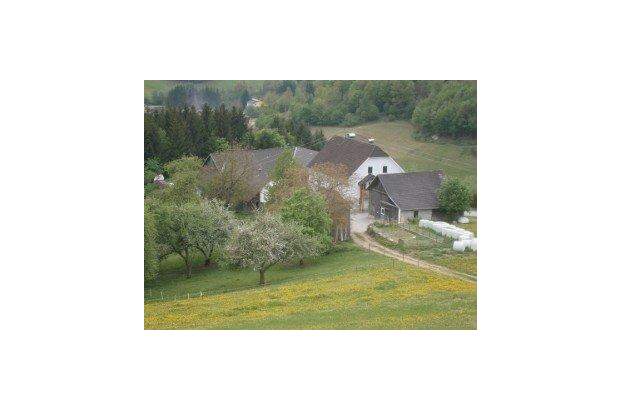Bauernhaus kaufen in 4391 Waldhausen (Bild 4)